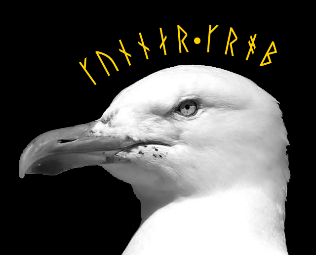 banner.png